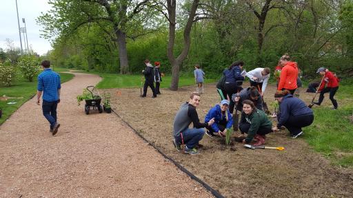 students planting a tree